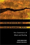 THE CRACK IN THE COSMIC EEG